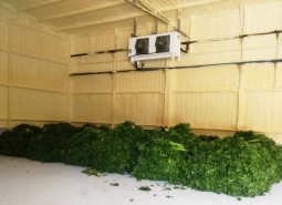 嘉峪關253平米蔬菜保鮮冷庫設計工程-萬能制冷