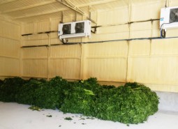 天水清水縣蔬菜保鮮冷庫安裝工程-萬能制冷