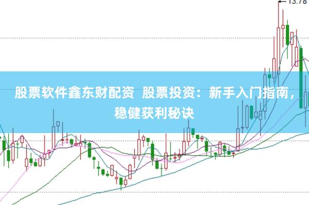 股票軟件鑫東財配資  股票投資：新手入門指南，穩健獲利秘訣