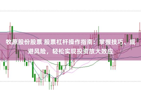 牧原股份股票 股票杠桿操作指南：掌握技巧、規避風險，輕松實現投資放大效應