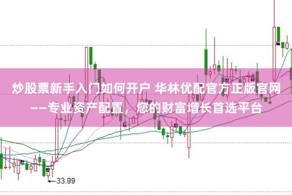 炒股票新手入門如何開戶 華林優配官方正版官網——專業資產配置，您的財富增長首選平臺