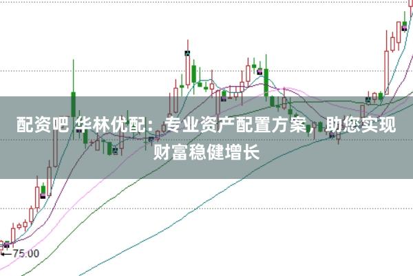 配資吧 華林優(yōu)配：專業(yè)資產配置方案，助您實現財富穩(wěn)健增長