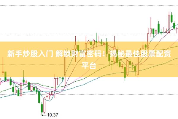 新手炒股入門 解鎖財富密碼！揭秘最佳股票配資平臺