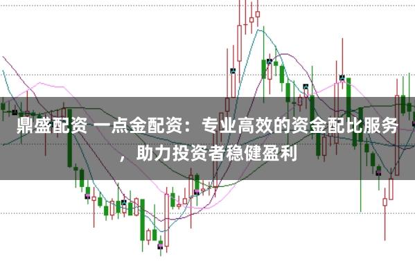 鼎盛配資 一點金配資：專業高效的資金配比服務，助力投資者穩健盈利