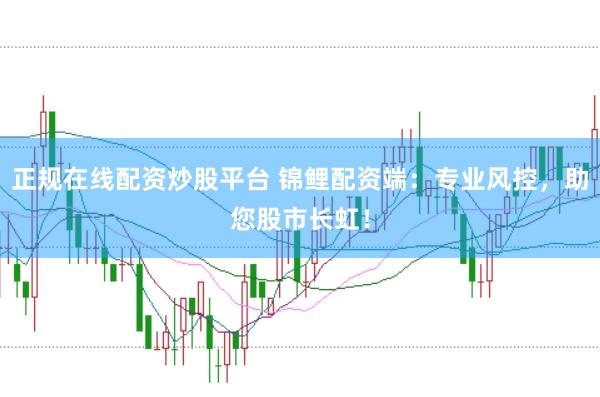 正規在線配資炒股平臺 錦鯉配資端：專業風控，助您股市長虹！