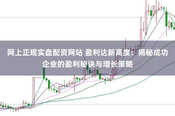 網上正規實盤配資網站 盈利達新高度：揭秘成功企業的盈利秘訣與增長策略