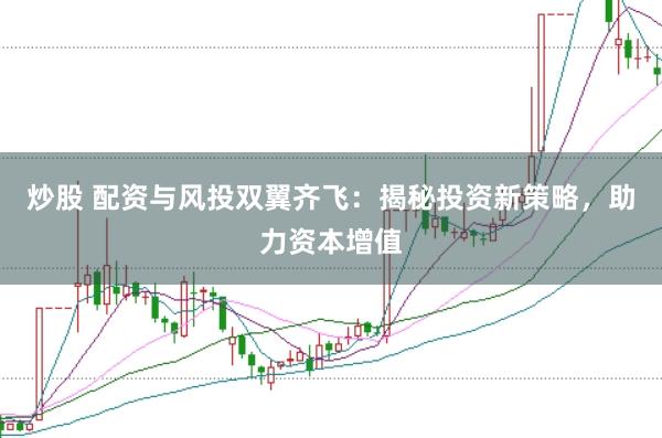 炒股 配資與風投雙翼齊飛：揭秘投資新策略，助力資本增值