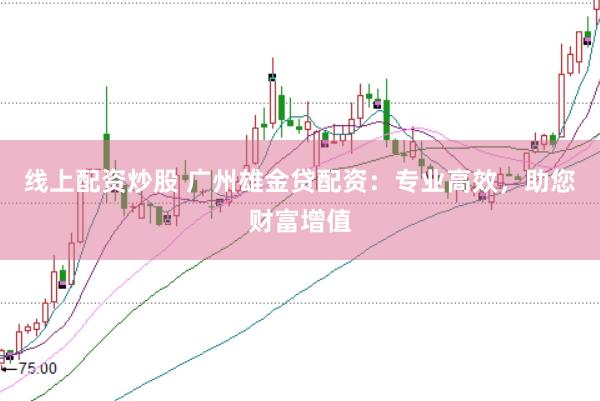 線上配資炒股 廣州雄金貸配資：專業(yè)高效，助您財富增值