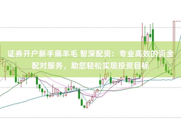 證券開戶新手薅羊毛 智深配資：專業高效的資金配對服務，助您輕松實現投資目標